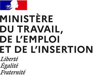 logo du ministère du travail, de l'emploi et de l'insertion